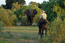 Zambia-Zambia-Shiwa Ngandu Deluxe Horse Safari